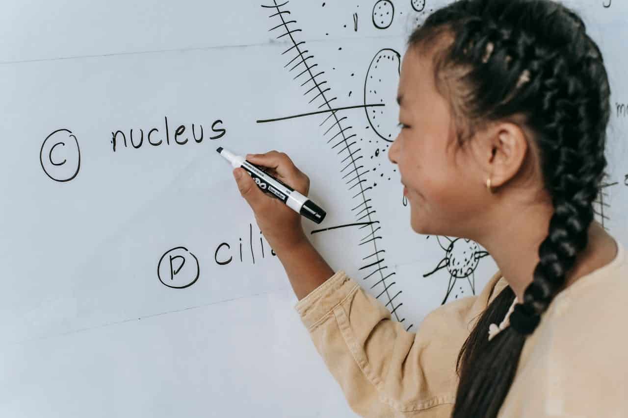 Drawing a medical diagram on a whiteboard