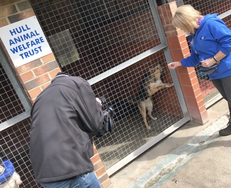 Hull Animal Welfare Charity Promotional Video! Eon Visual Media