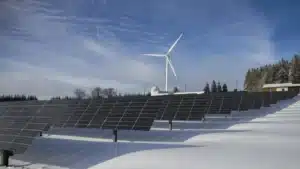 5 Ways to Communicate Sustainability to Stakeholders