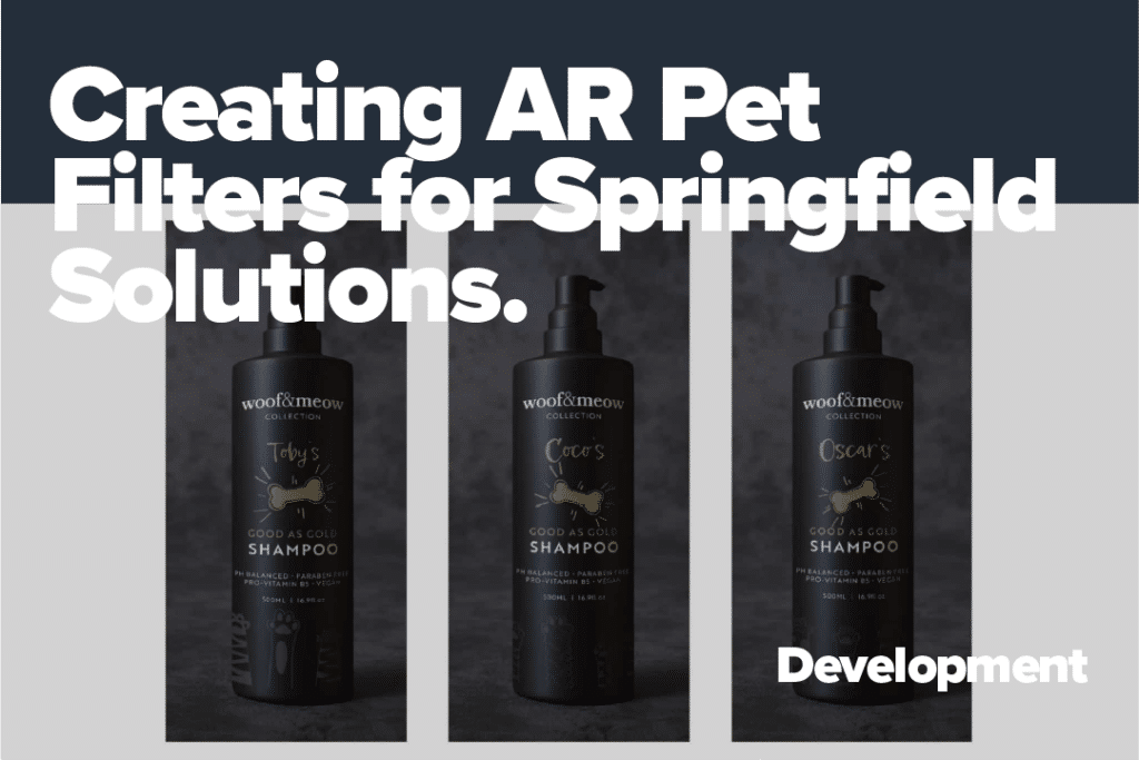 Creating AR Pet Filters for Springfield Solutions