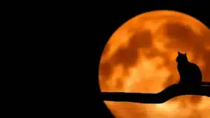 3 of the Best Halloween Ads!