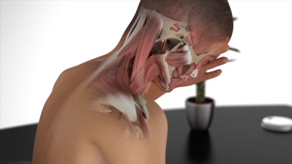 3D Animation of Human Body