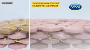 Mode of Action Animation: The Process