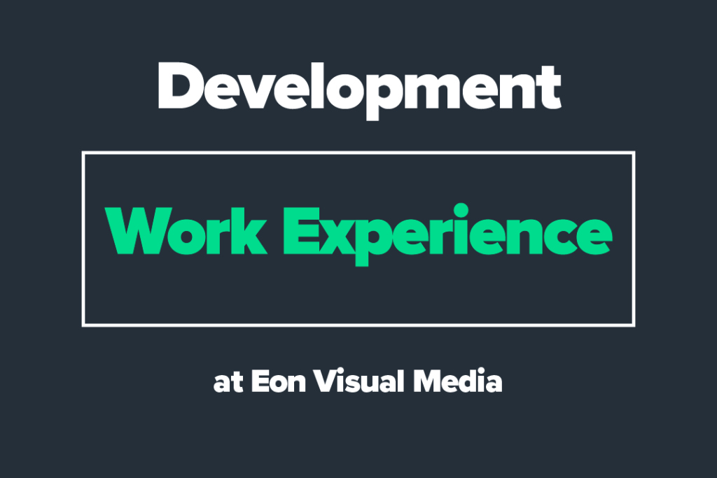 Development Work Experience