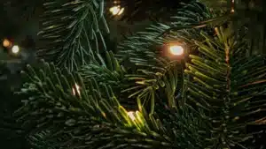 Rating 5 Christmas Ads in 2023!