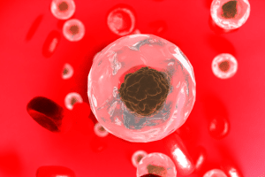 7 Learnings: Design in Regulated Industries